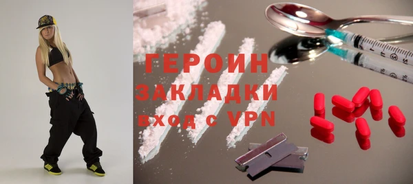 гидра Ельня