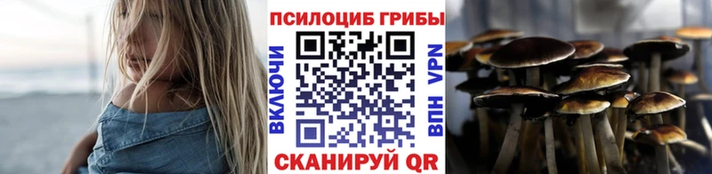 гидра онион  даркнет сайт  Череповец  Псилоцибиновые грибы мицелий 