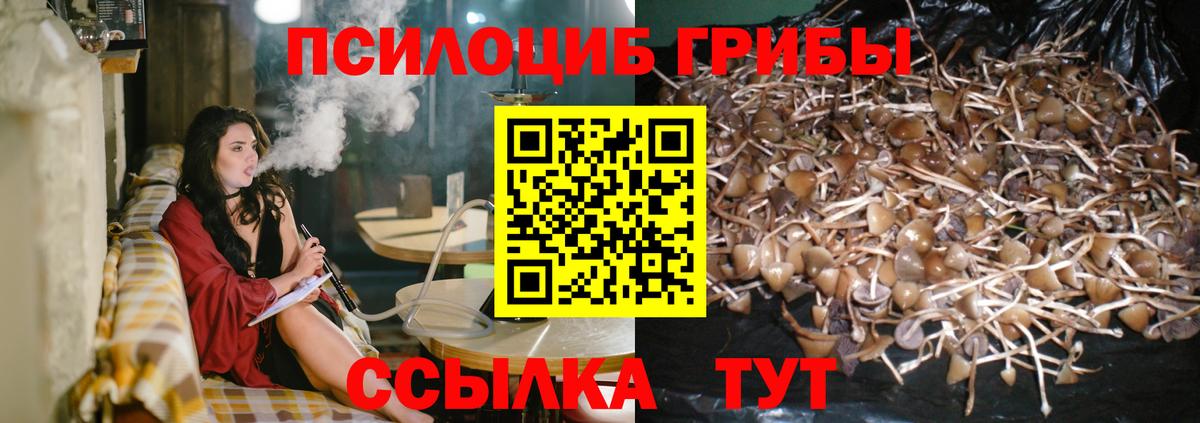 Череповец  Галлюциногенные грибы MAGIC MUSHROOMS  Вход с VPN  Галлюциногенные грибы Psilocybe 