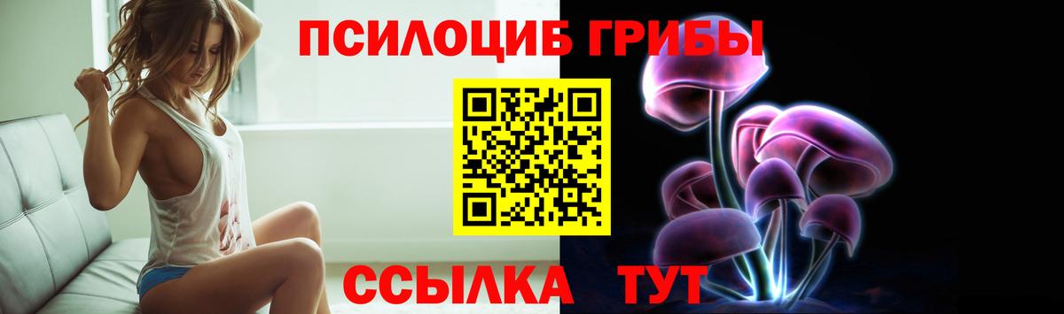Галлюциногенные грибы Psilocybine cubensis Череповец
